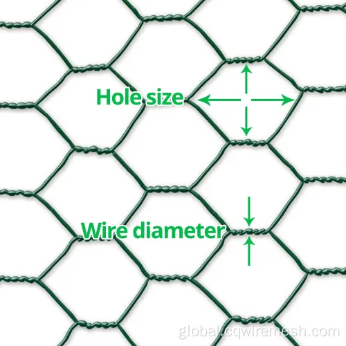 Galvanized Poultry Netting Mesh Green Chicken Wire Netting with Galvanised Core Supplier